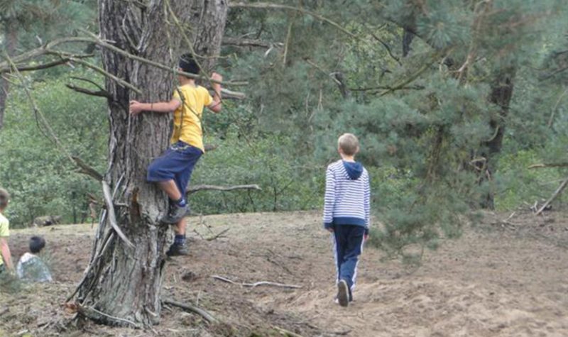 Woods – Brabantbos